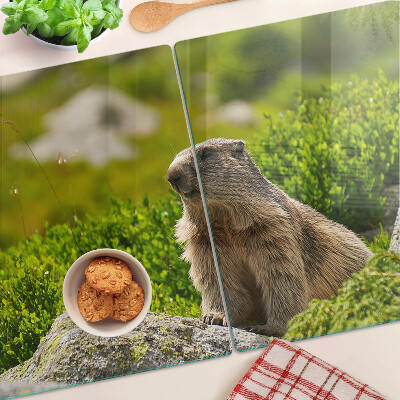 Glas Schneidebrett mit einem Murmeltier vor grünem Grashintergrund