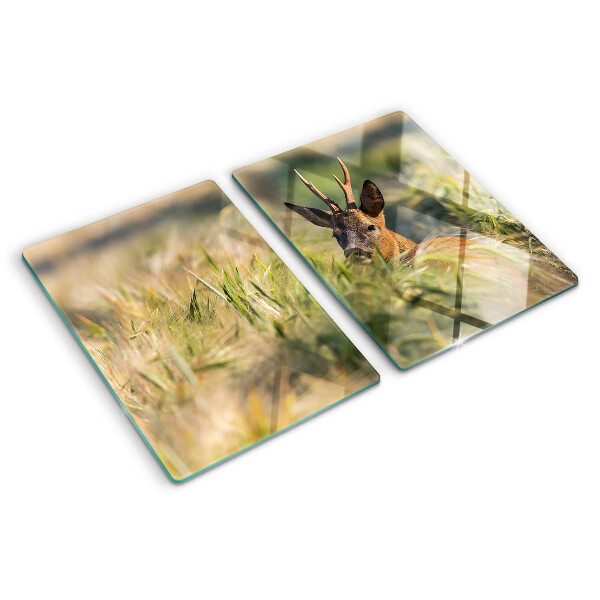 Schneidebrett Ein Kitz auf dem Feld