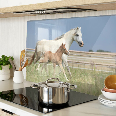 Schneidebrett glas Ein Pferd mit einem Fohlen auf einer Wiese