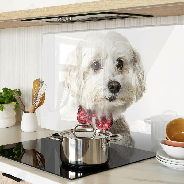 Schneidebrett glas Ein Hund im Pullover mit Schleife