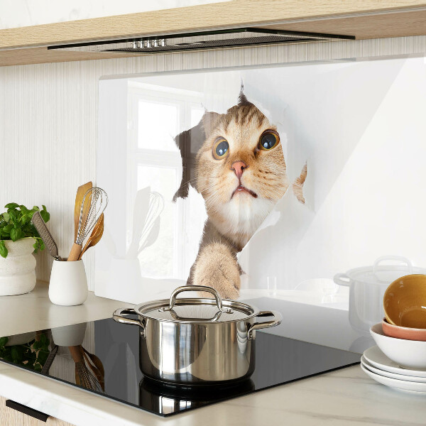 Schneidebrett Eine Katze, die durch ein Loch in der Wand schaut.