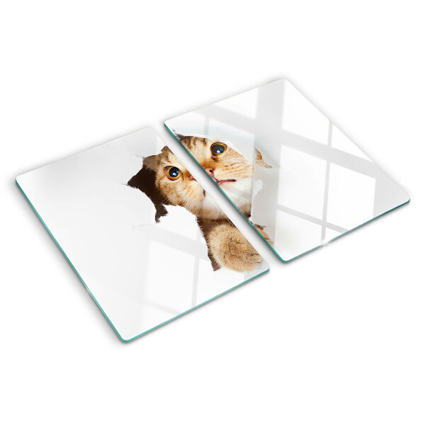 Schneidebrett Eine Katze, die durch ein Loch in der Wand schaut.