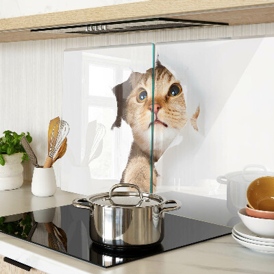 Schneidebrett Eine Katze, die durch ein Loch in der Wand schaut.