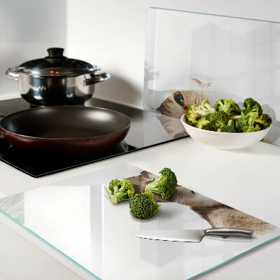 Schneidebrett Eine Katze, die durch ein Loch in der Wand schaut.