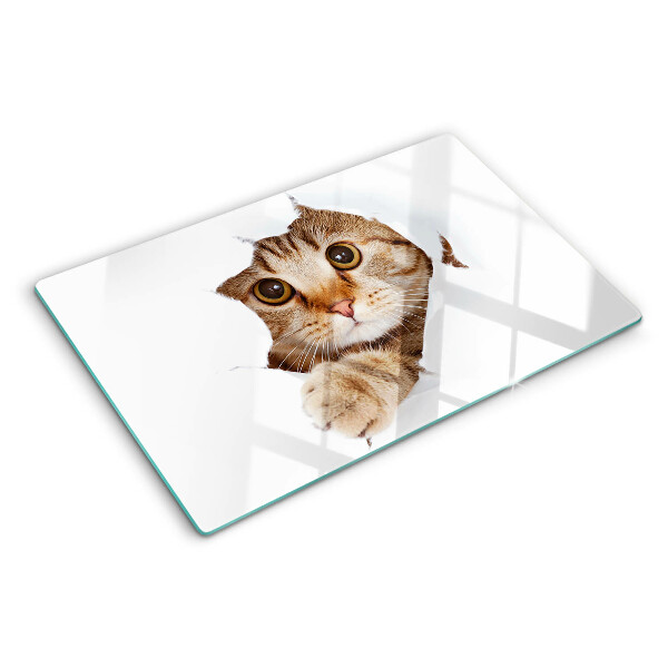 Schneidebrett glas Eine Katze, die aus einem Loch kommt