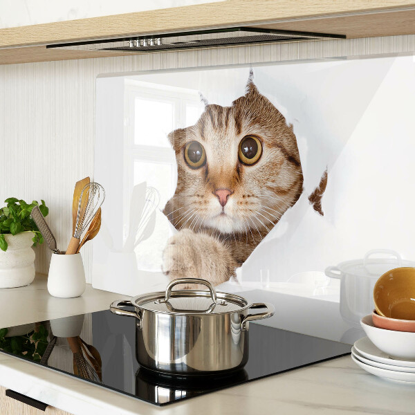 Schneidebrett glas Eine Katze, die aus einem Loch kommt