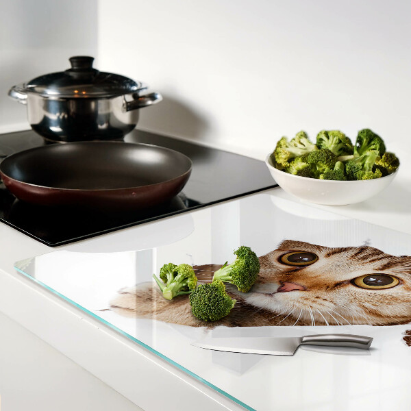 Schneidebrett glas Eine Katze, die aus einem Loch kommt