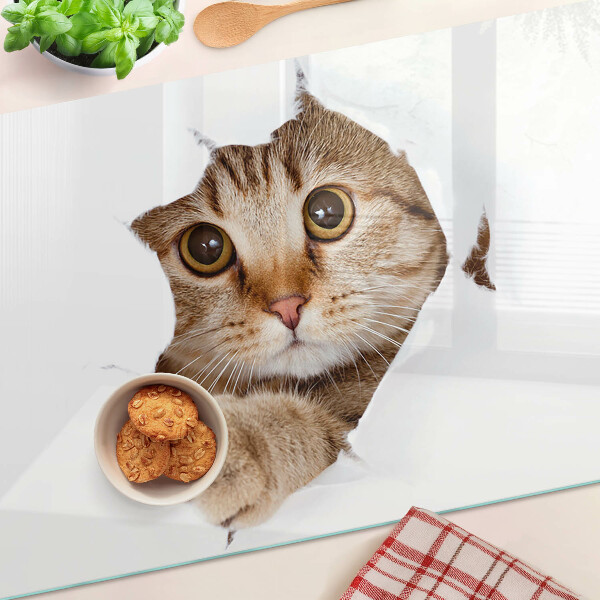 Schneidebrett glas Eine Katze, die aus einem Loch kommt