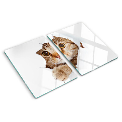 Schneidebrett glas Eine Katze, die aus einem Loch kommt