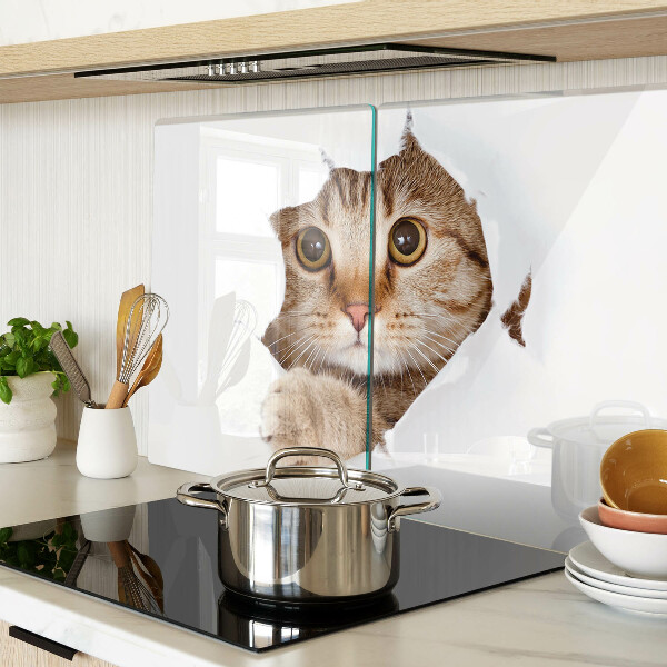 Schneidebrett glas Eine Katze, die aus einem Loch kommt