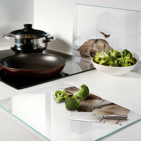 Schneidebrett glas Eine Katze, die aus einem Loch kommt