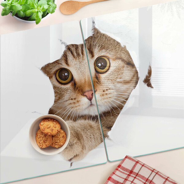 Schneidebrett glas Eine Katze, die aus einem Loch kommt