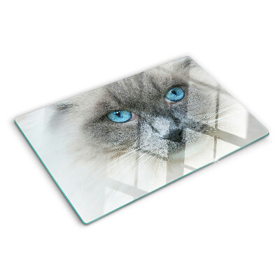 Glas schneidebrett mit Motiv einer Katze mit blauen Augen
