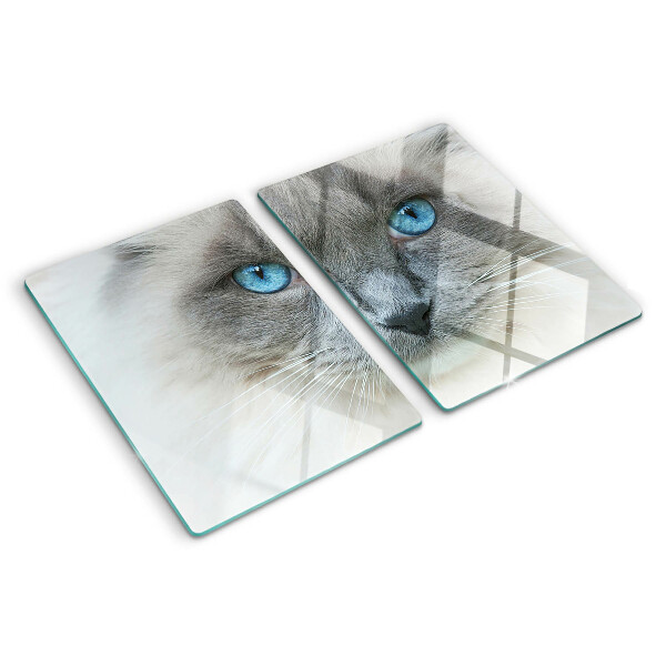 Glas schneidebrett Eine Katze mit blauen Augen