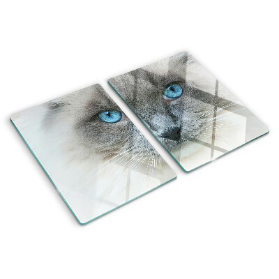 Glas schneidebrett Eine Katze mit blauen Augen