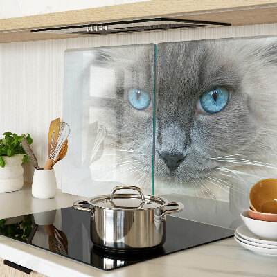 Glas schneidebrett Eine Katze mit blauen Augen
