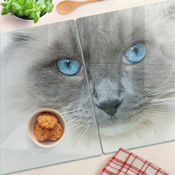 Glas schneidebrett mit Motiv einer Katze mit blauen Augen