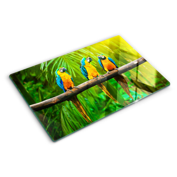 Schneidebrett Papageien auf einem Ast in den Tropen