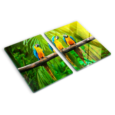 Schneidebrett Papageien auf einem Ast in den Tropen