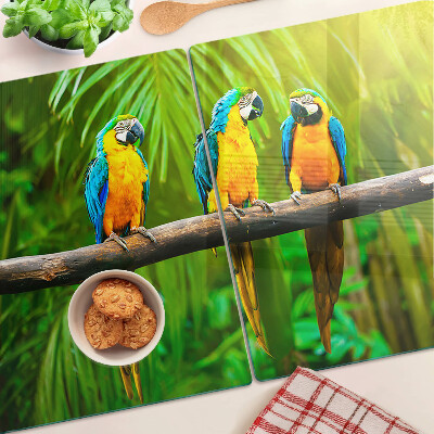 Schneidebrett Papageien auf einem Ast in den Tropen