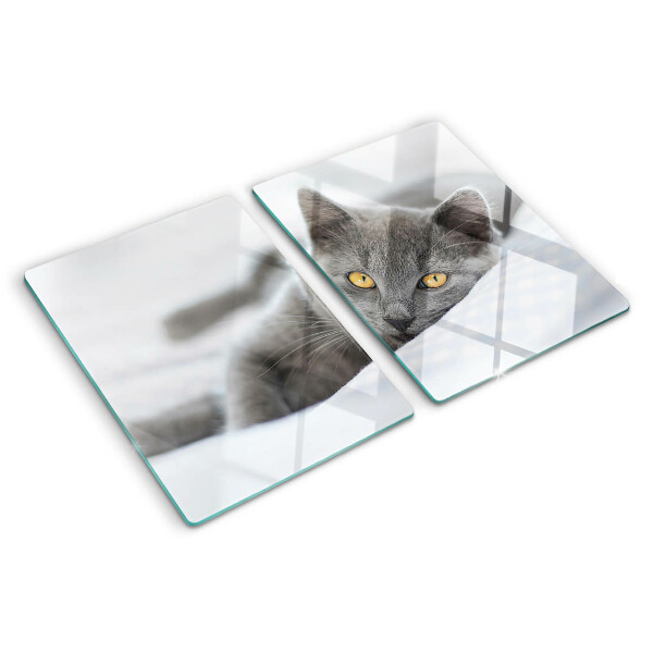 Schneidebrett Eine Katze mit gelben Augen