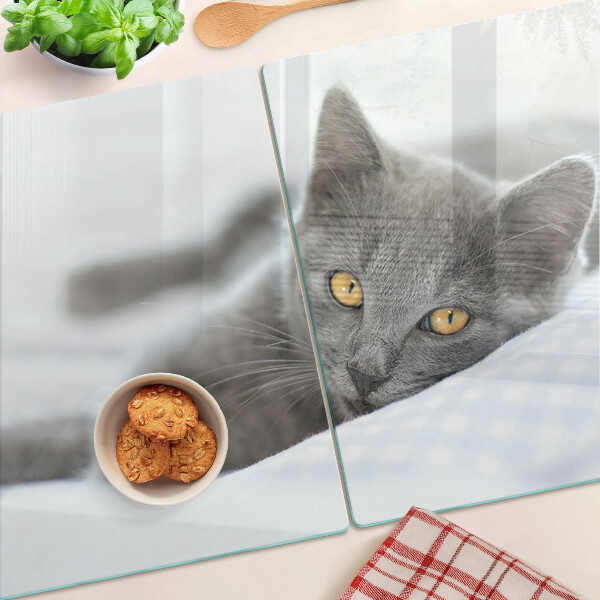 Schneidebrett Eine Katze mit gelben Augen
