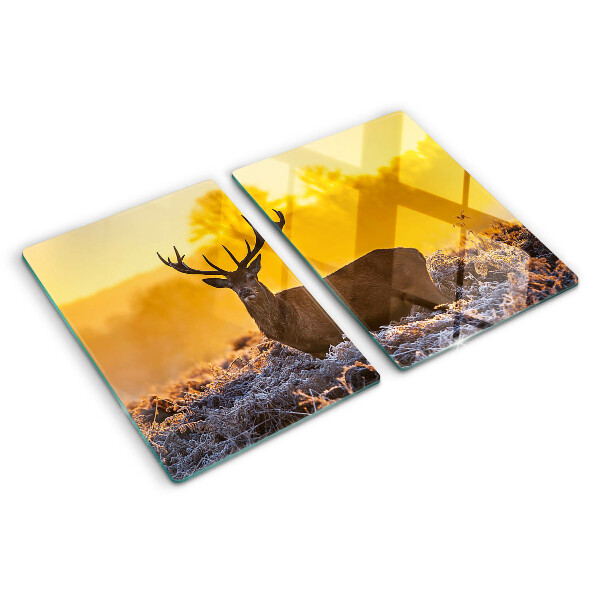 Schneidebrett Ein Reh vor dem Hintergrund einer morgendlichen Landschaft