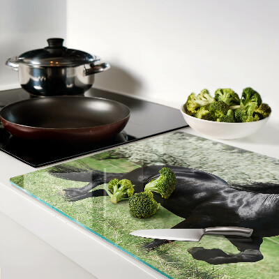 Schneidebrett glas Schwarzes Pferd auf der Wiese