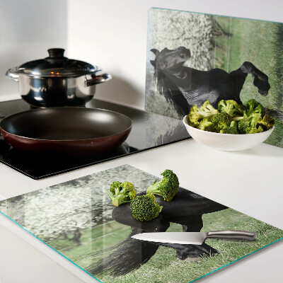 Schneidebrett glas Schwarzes Pferd auf der Wiese