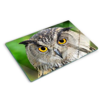 Schneidebrett glas Eine Eule mit ausdrucksstarken Augen