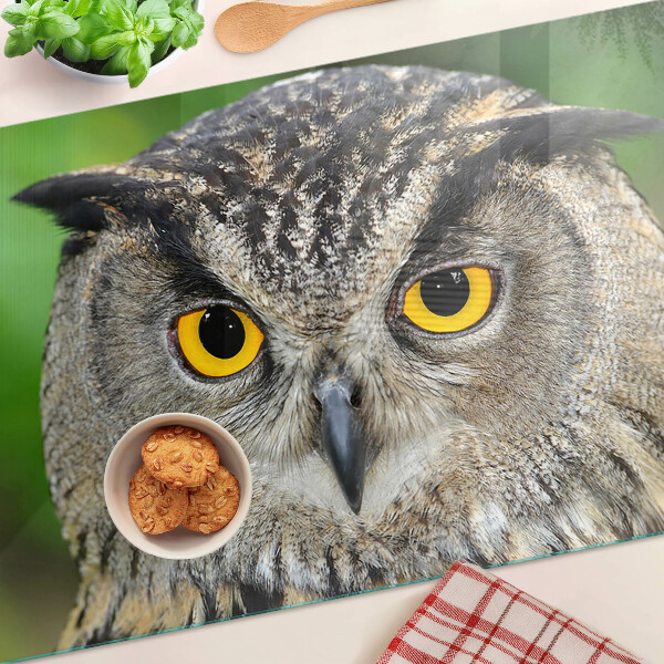 Schneidebrett glas Eine Eule mit ausdrucksstarken Augen