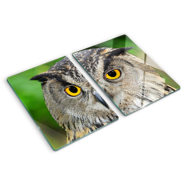 Schneidebrett Glas mit Motiv einer Eule mit ausdrucksstarken Augen