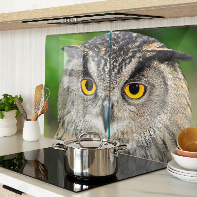 Schneidebrett Glas mit Motiv einer Eule mit ausdrucksstarken Augen