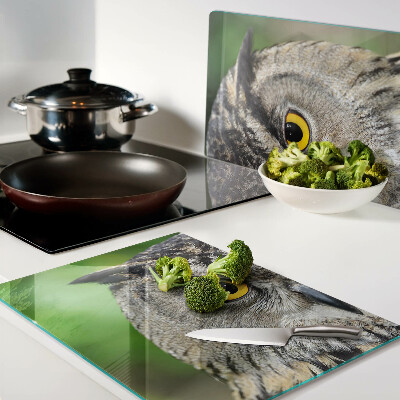 Schneidebrett glas Eine Eule mit ausdrucksstarken Augen