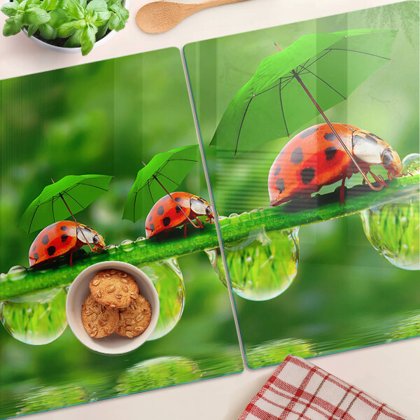 Schneidebrett glas Marienkäfer auf Blättern mit Wassertropfen