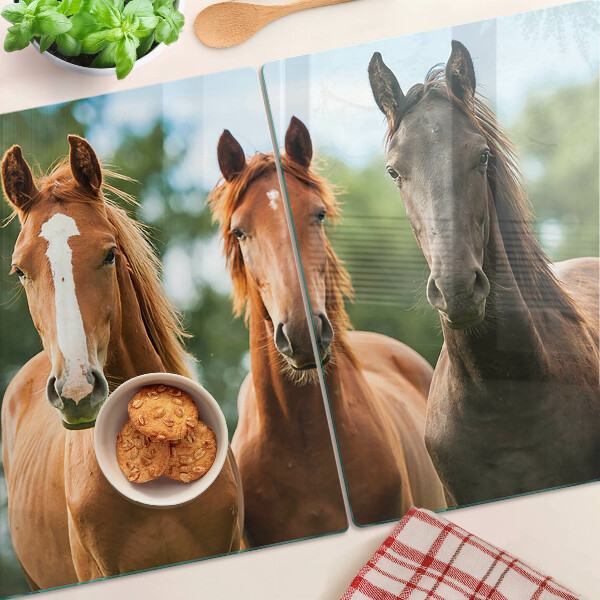 Glas-Schneidebrett mit Pferdemotiv vor Naturlandschaft