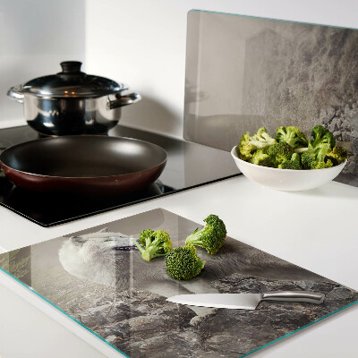 Schneidebrett Wolf auf einem felsigen Berg