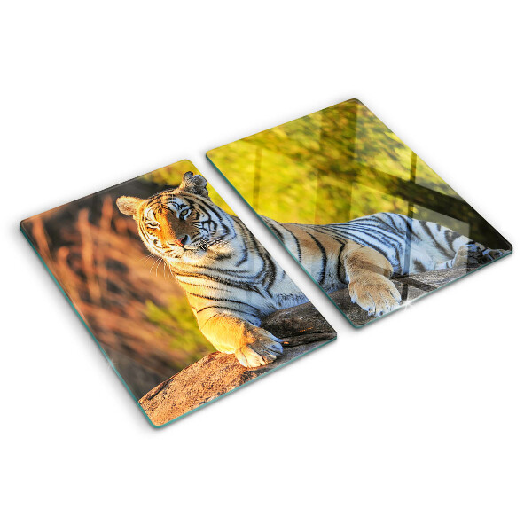 Glas schneidebrett Tiger vor dem Hintergrund der Natur