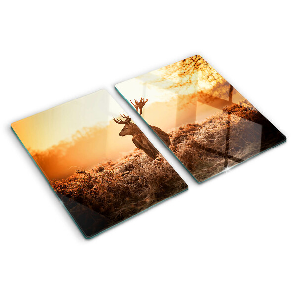 Schneidebrett glas Hirsche vor dem Hintergrund des Sonnenuntergangs