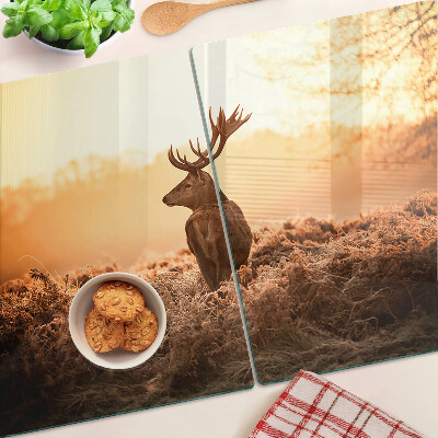 Schneidebrett glas Hirsche vor dem Hintergrund des Sonnenuntergangs