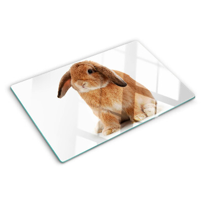 Glas-Schneidebrett mit Motiv eines Kaninchens vor weißem Hintergrund