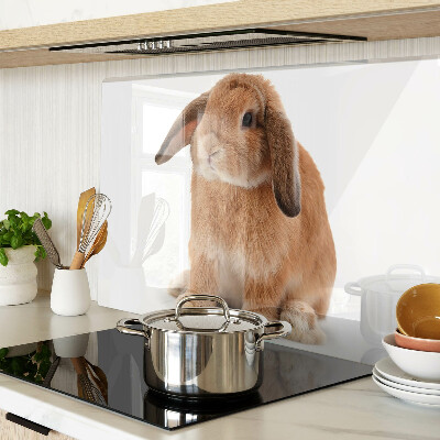 Glas-Schneidebrett mit Motiv eines Kaninchens vor weißem Hintergrund