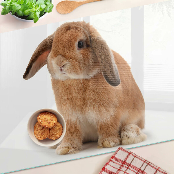 Glas schneidebrett Kaninchen auf weißem Hintergrund