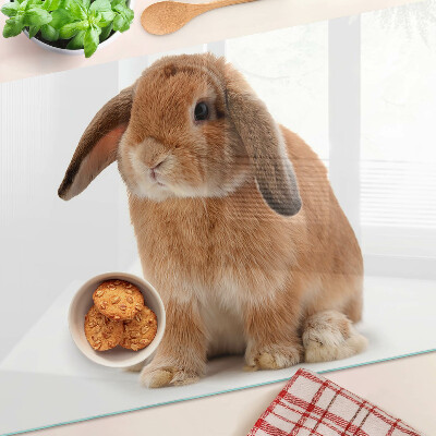 Glas schneidebrett Kaninchen auf weißem Hintergrund