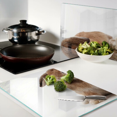 Glas schneidebrett Kaninchen auf weißem Hintergrund