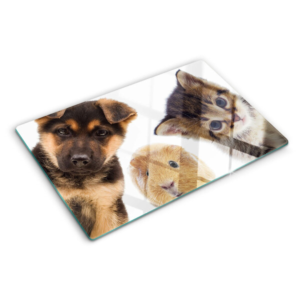Schneidebrett glas Hunde, Katzen, Kaninchen