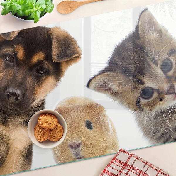 Schneidebrett glas Hunde, Katzen, Kaninchen