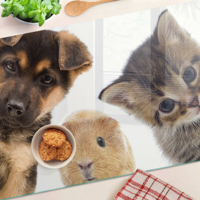 Schneidebrett glas Hunde, Katzen, Kaninchen