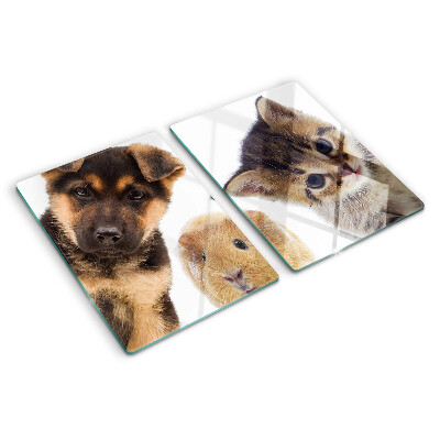 Schneidebrett Glas für Hunde, Katzen und Kaninchen