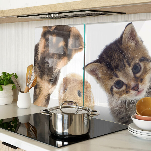 Schneidebrett Glas für Hunde, Katzen und Kaninchen